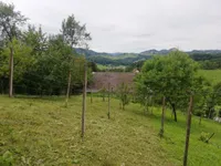 Недвижимость Дом, Забика, Пустики: 6