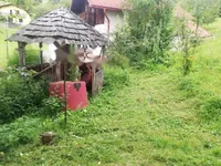 Недвижимость Дом, Забика, Пустики: 7