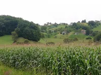 Недвижимость Дом, Забика, Пустики: 10