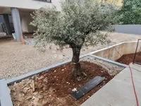 Недвижимость Четырехкомнатная квартира: 5