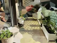 Недвижимость Apartment Cannes: 2