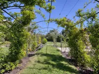 Недвижимость Apartment Cannes: 20