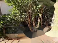 Недвижимость Townhouse Croix des Gardes: 12