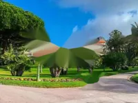 Недвижимость Apartment Cannes California: 15