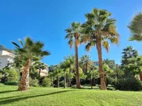 Недвижимость Apartment Cannes: 1