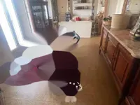 Недвижимость Apartment Petit Juas: 2