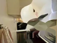 Недвижимость Apartment Cannes: 5