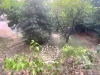 Недвижимость Apartment Cannes Suquet: 12