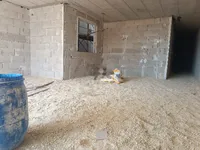 Недвижимость Zejtun South Residence: 5