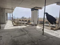 Недвижимость St. Julians Retreat: 1