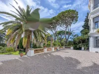 Недвижимость Apartment Cannes California: 37