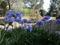 Недвижимость Maison Petit Juas: 1