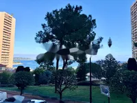 Недвижимость Apartment Monaco, Monte-Carlo: 13