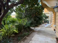 Недвижимость Apartment Monaco, Condamine: 10