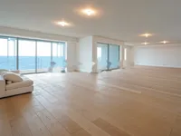 Недвижимость Apartment Monaco, Anse Du Portier: 4
