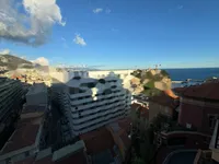 Недвижимость Apartment Monaco, Jardin Exotique: 9