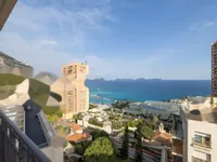 Недвижимость Apartment Monaco, Monte-Carlo: 22