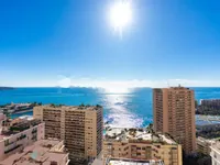 Недвижимость Apartment Monaco, La Rousse: 17