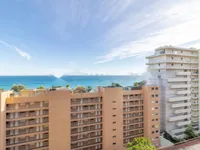 Недвижимость Apartment Monaco, La Rousse: 10