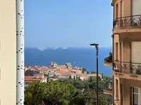 Недвижимость Apartment Monaco, Jardin Exotique: 15
