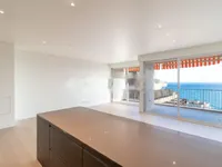 Недвижимость Apartment Monaco, La Rousse: 6