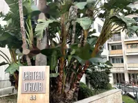 Недвижимость Apartment Monaco, La Rousse: 2