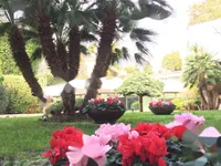 Недвижимость Apartment Monaco, Carre d'Or: 10