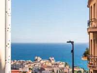 Недвижимость Apartment Monaco, Jardin Exotique: 2