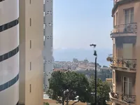 Недвижимость Apartment Monaco, Jardin Exotique: 1