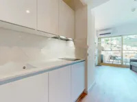 Недвижимость Apartment Monaco, La Rousse: 2