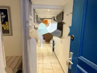 Недвижимость Apartment Cannes La Bocca: 4