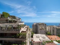 Недвижимость Apartment Monaco, La Rousse: 18