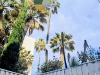 Недвижимость Apartment Cannes Croix Gardes: 7