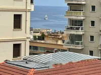 Недвижимость Apartment Monaco, La Rousse: 17