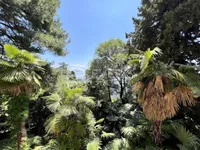 Недвижимость Квартира Опатия, Центр: 9