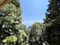 Недвижимость Квартира Опатия, Центр: 22