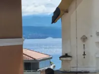 Недвижимость Трехкомнатная квартира в центре: 20