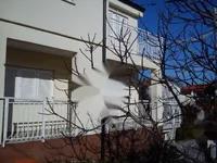 Недвижимость Семейный дом Побри, Опатия: 4