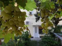 Недвижимость Квартира на первом этаже, центр, Опатия: 23