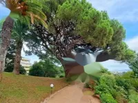 Недвижимость Apartment Cannes Croix Gardes: 14