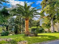 Недвижимость Apartment Cannes: 10