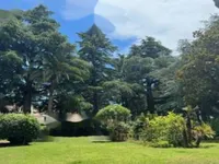 Недвижимость Apartment Cannes: 12