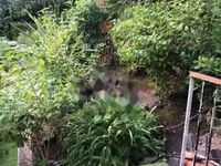 Недвижимость Apartment Cannes California: 16