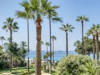 Недвижимость Apartment Cannes: 1