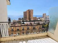 Недвижимость Apartment Monaco, Monte Carlo: 14