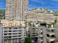 Недвижимость Apartment Monaco, La Rousse: 6