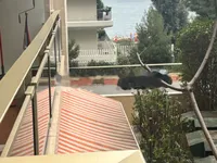 Недвижимость Apartment Monaco, Larvotto: 5