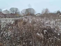 Недвижимость Участок, Жилая Зона Ракова Елша, Тихое Место: 2