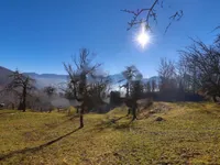 Недвижимость Поместье, Ферма ПОДЬЕЛЕ: 9