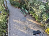 Недвижимость Четырехкомнатная квартира в Центре Опатии: 11